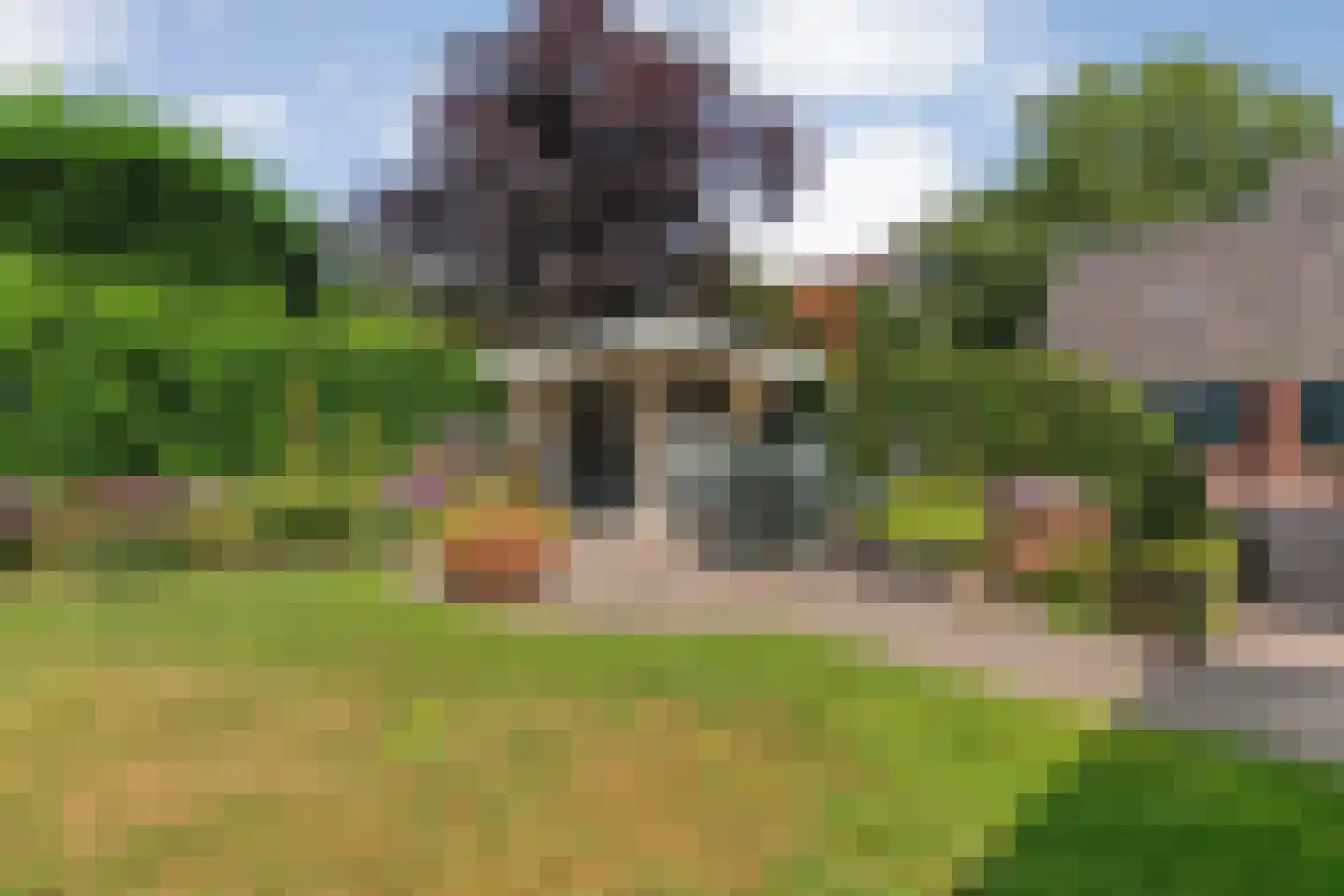 De Vennen 16 Zuidwolde thumbnail 54