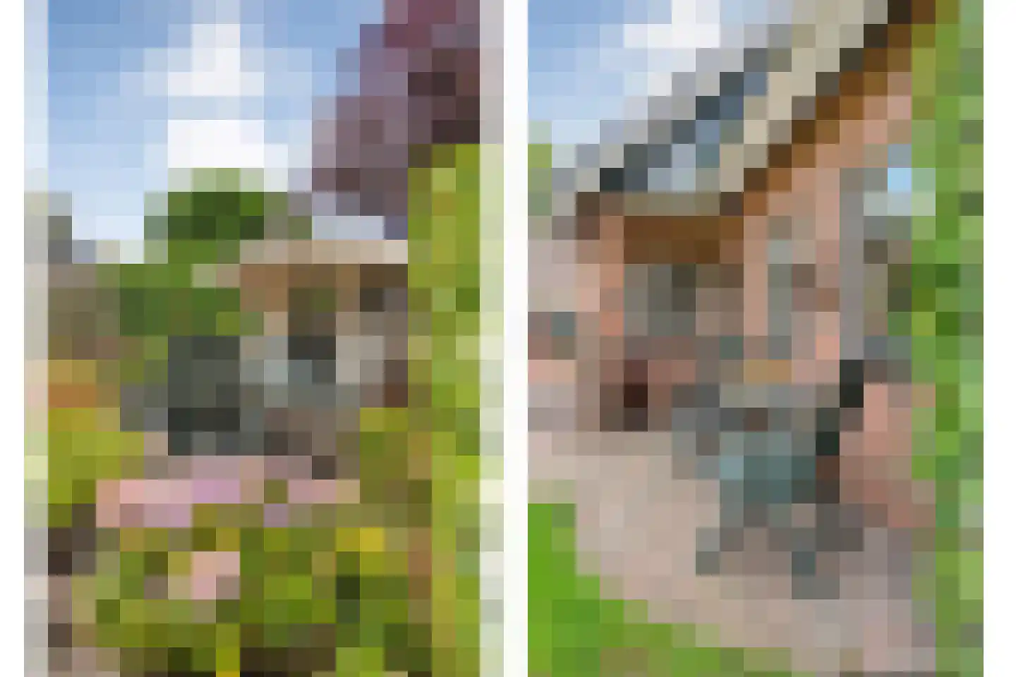 De Vennen 16 Zuidwolde thumbnail 55