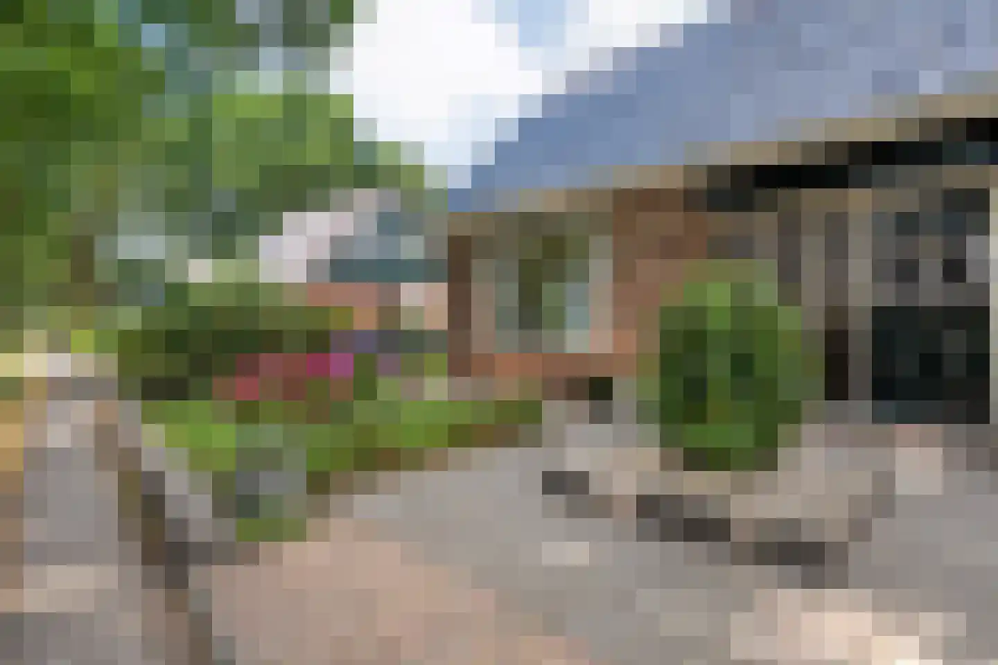 De Vennen 16 Zuidwolde thumbnail 6