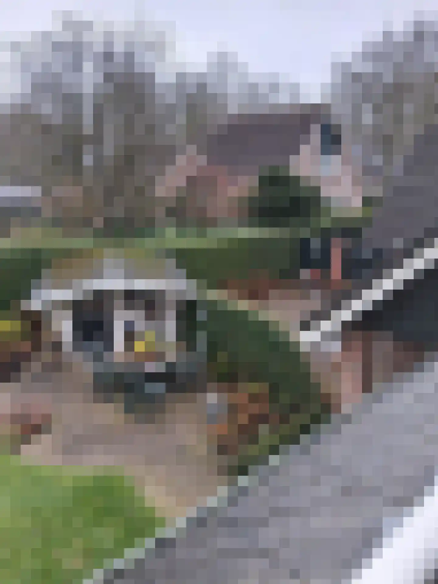 De Vennen 16 Zuidwolde thumbnail 7