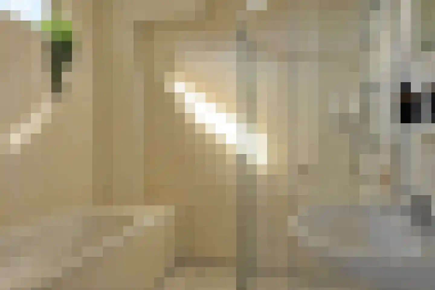 De Vennen 183 Vlagtwedde thumbnail 10