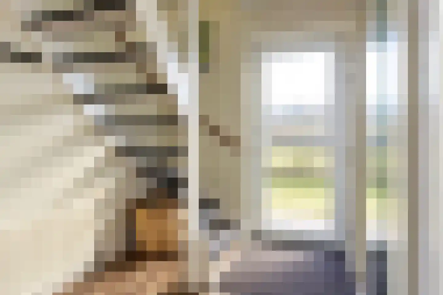 De Vennen 183 Vlagtwedde thumbnail 12