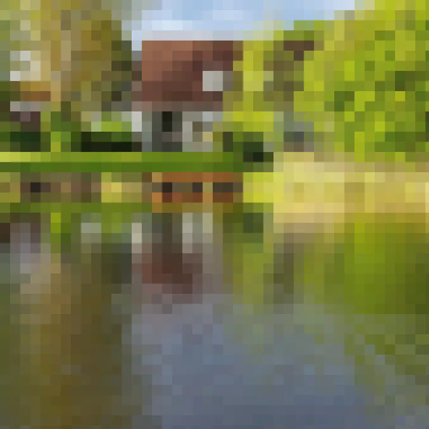 De Vennen 183 Vlagtwedde thumbnail 26