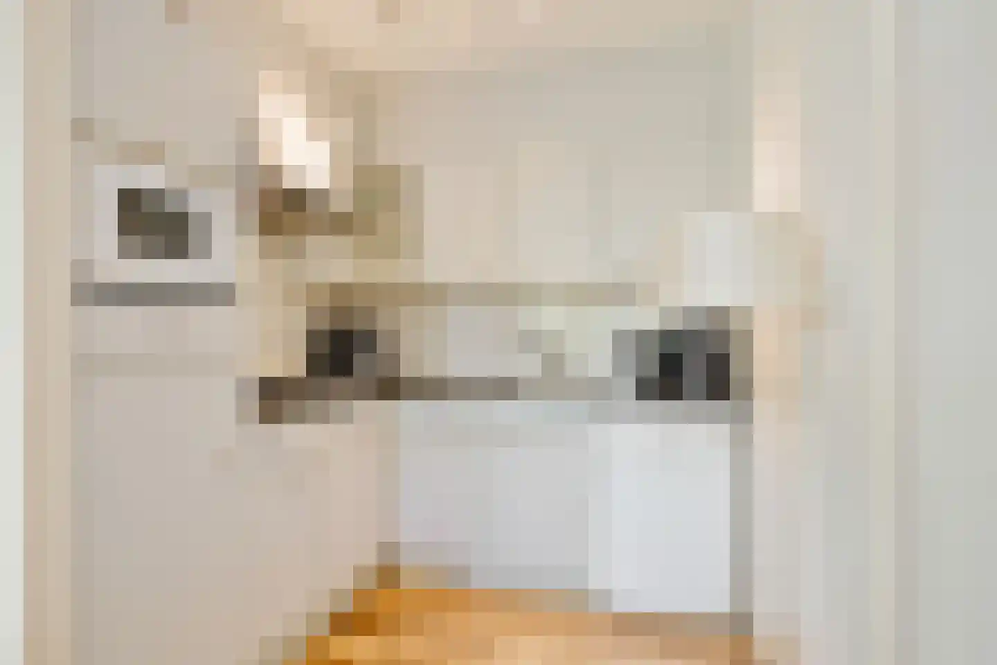 De Vennen 183 Vlagtwedde thumbnail 9