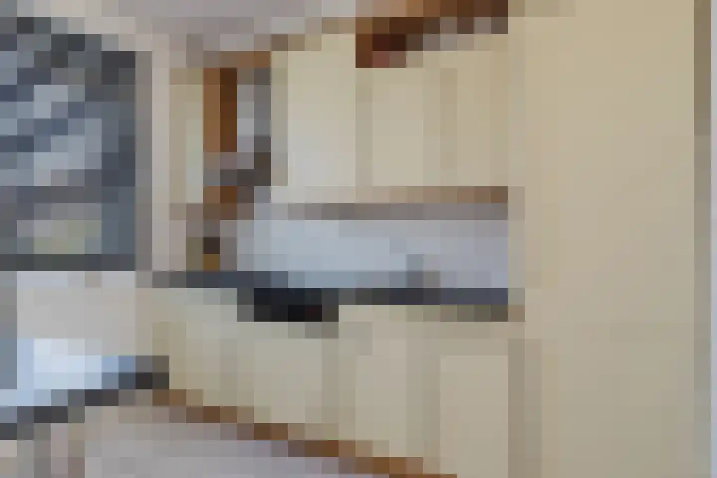 De Vennen 19 Rijsbergen thumbnail 17