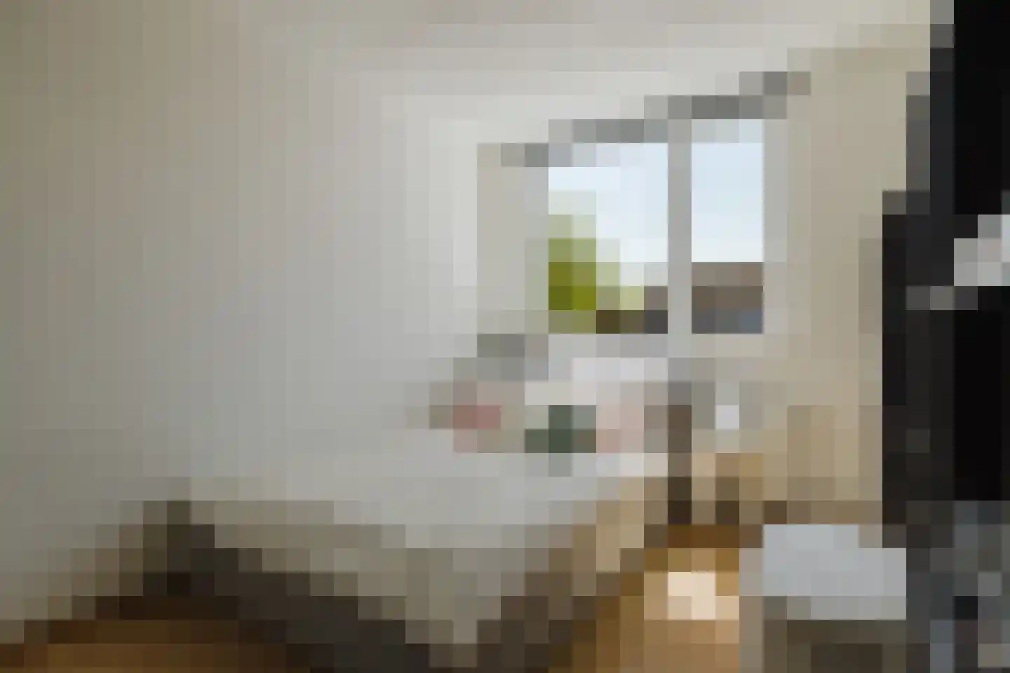 De Vennen 19 Rijsbergen thumbnail 22