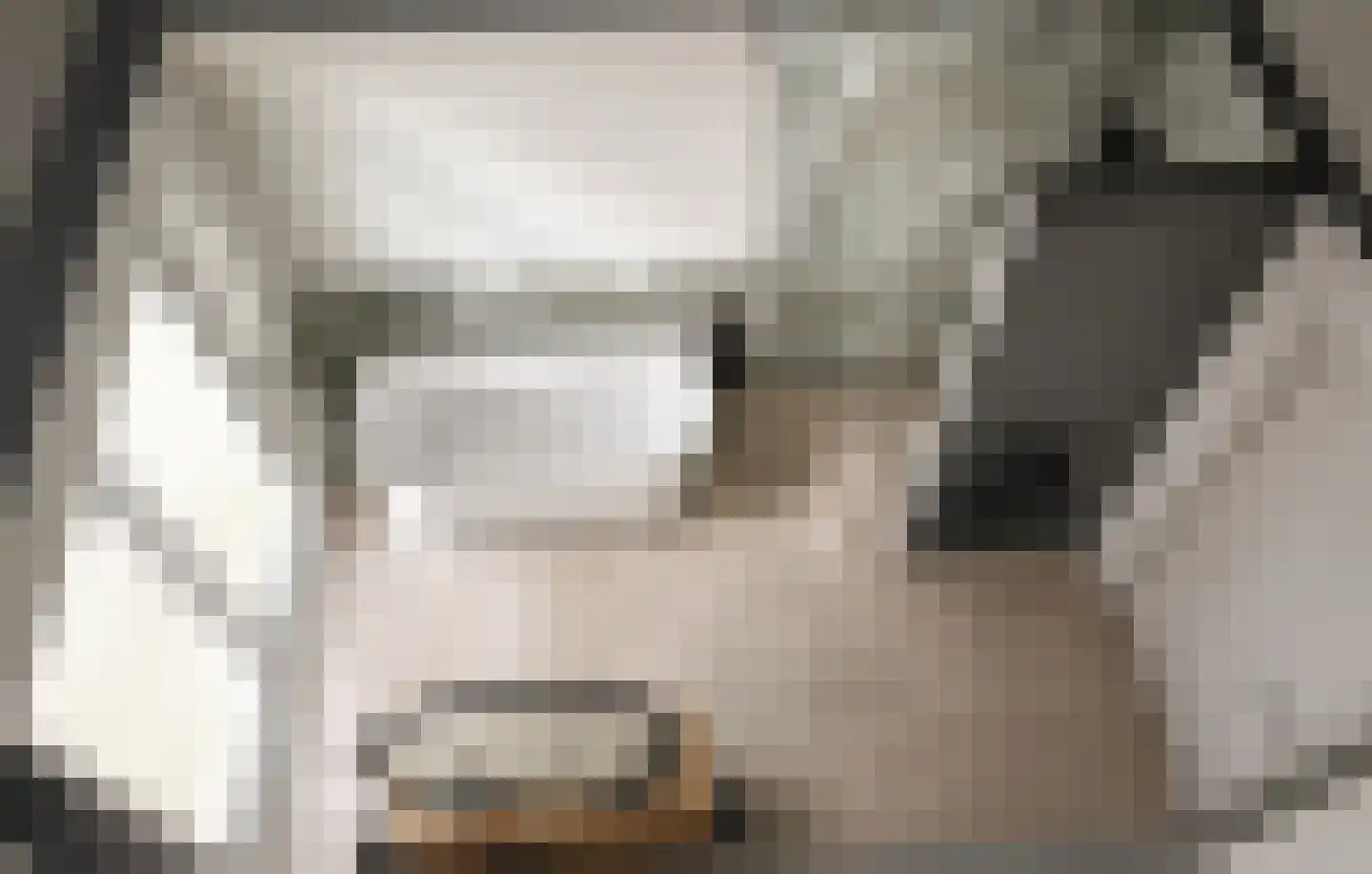 De Vennen 2 b Zuidwolde thumbnail 11