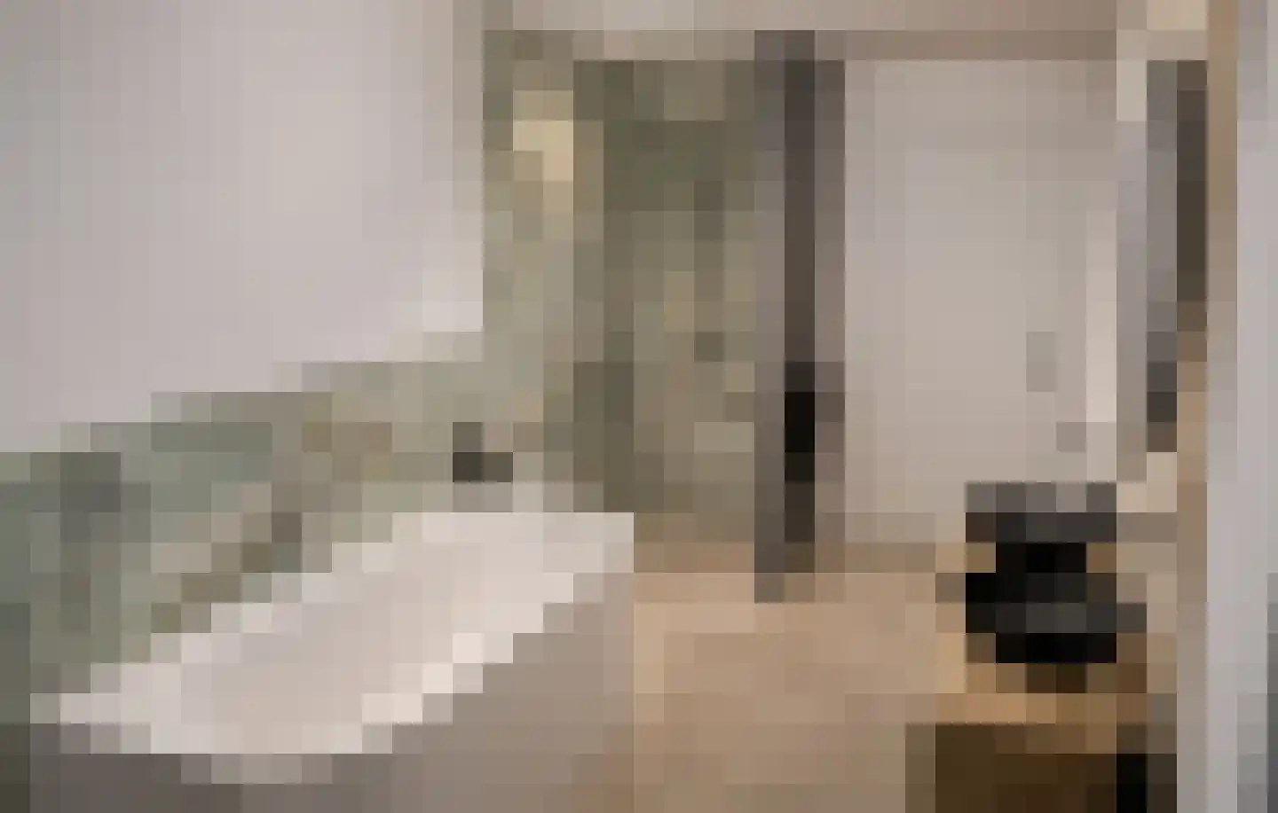 De Vennen 2 b Zuidwolde thumbnail 12