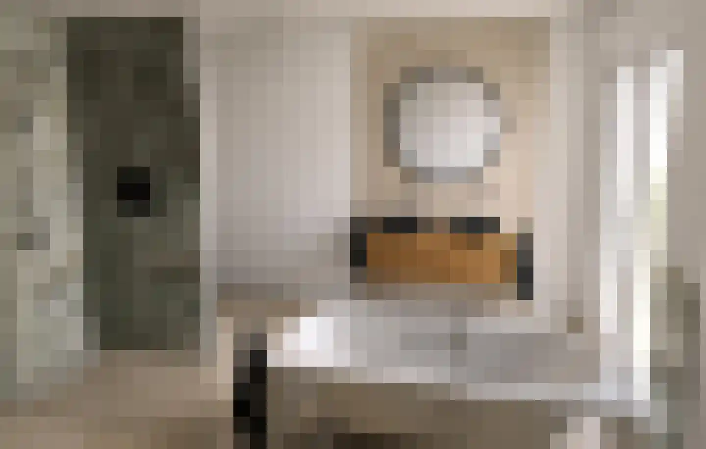 De Vennen 2 b Zuidwolde thumbnail 13