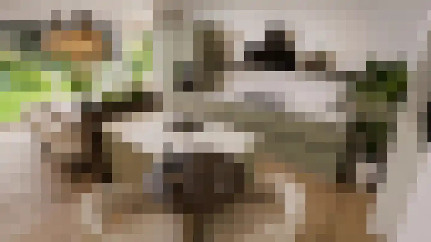 De Vennen 2 b Zuidwolde thumbnail 5