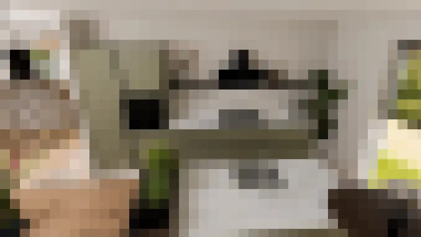 De Vennen 2 b Zuidwolde thumbnail 8