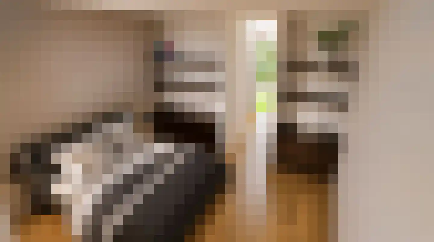 De Vennen 2 b Zuidwolde thumbnail 9