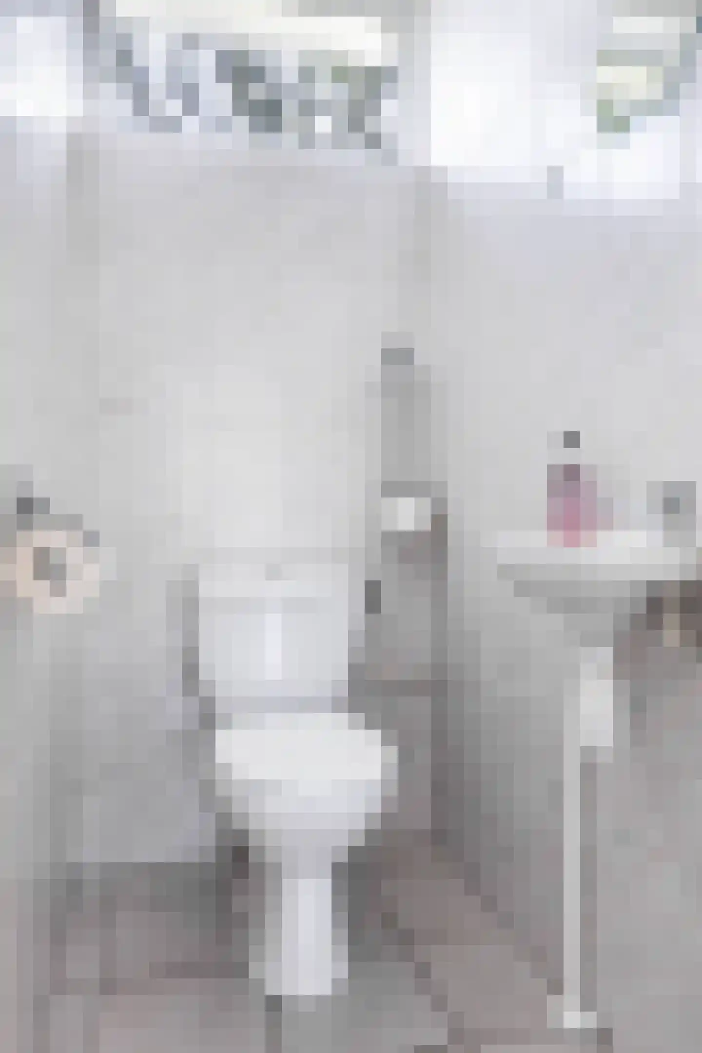 De Vennen 22 Vlagtwedde thumbnail 14
