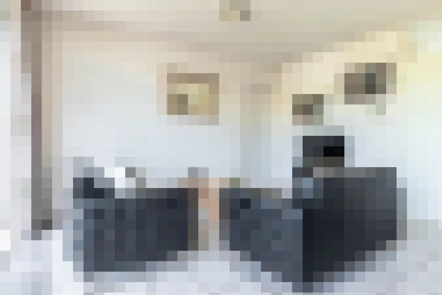 De Vennen 22 Vlagtwedde thumbnail 16