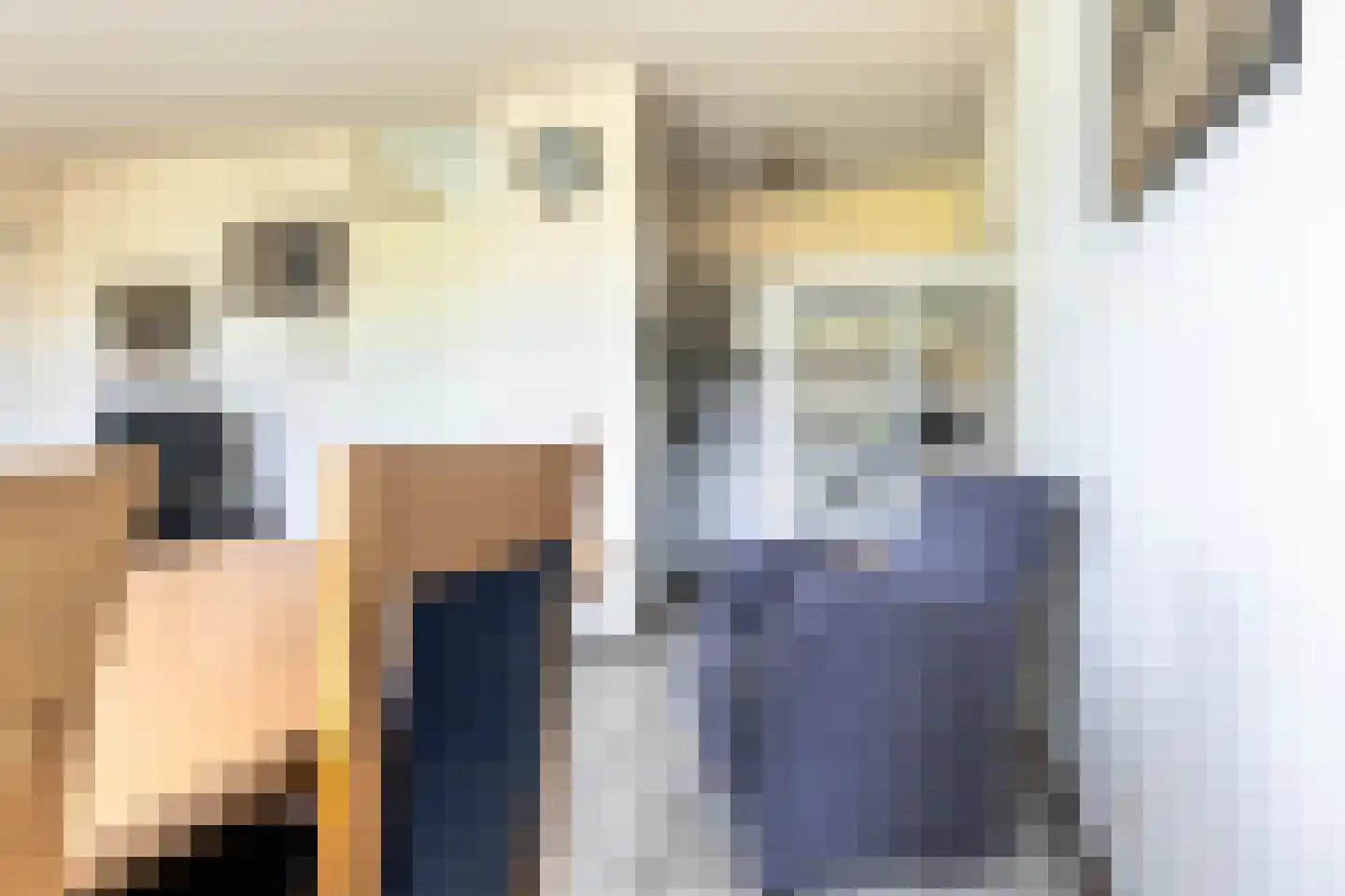 De Vennen 22 Vlagtwedde thumbnail 19