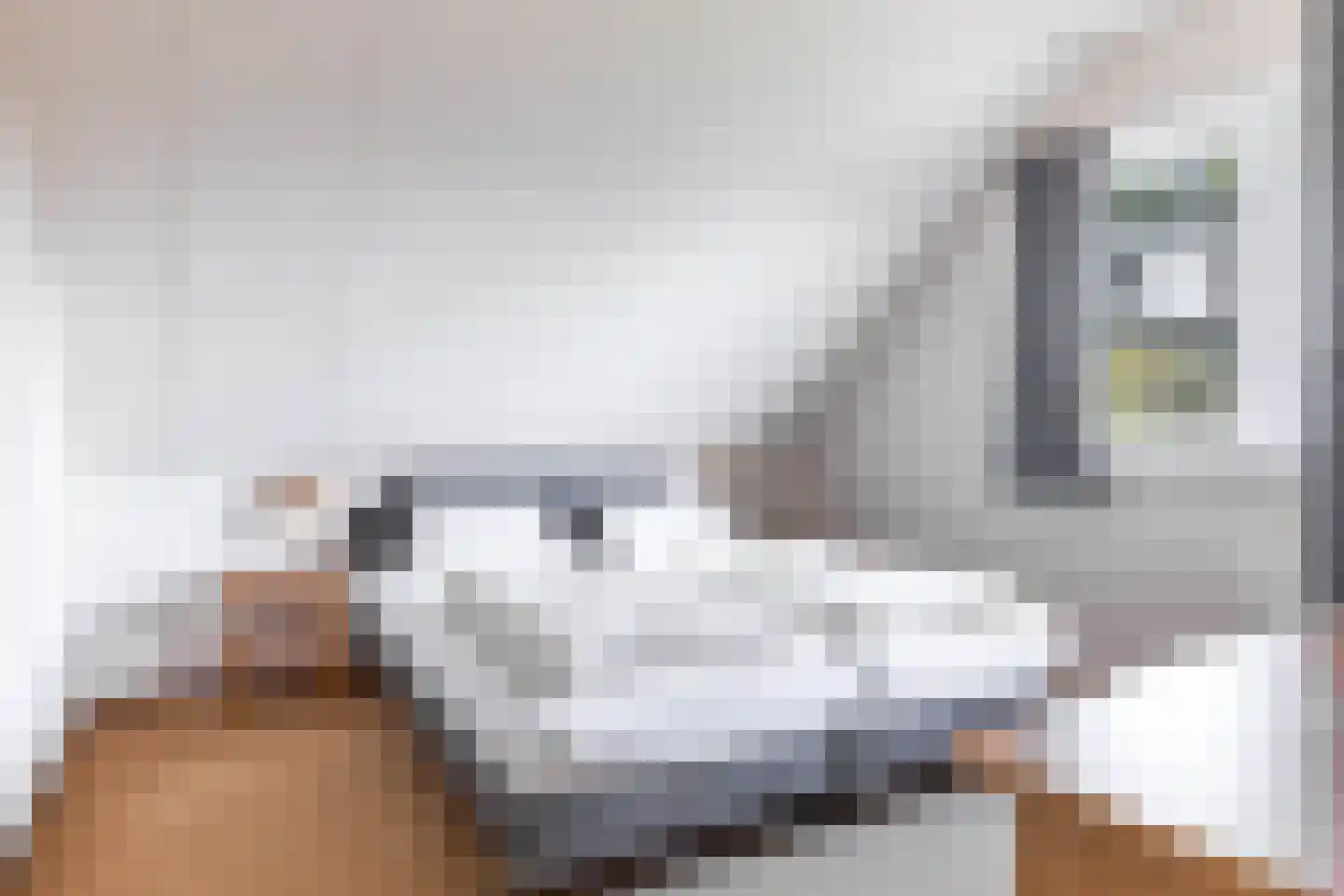 De Vennen 22 Vlagtwedde thumbnail 29