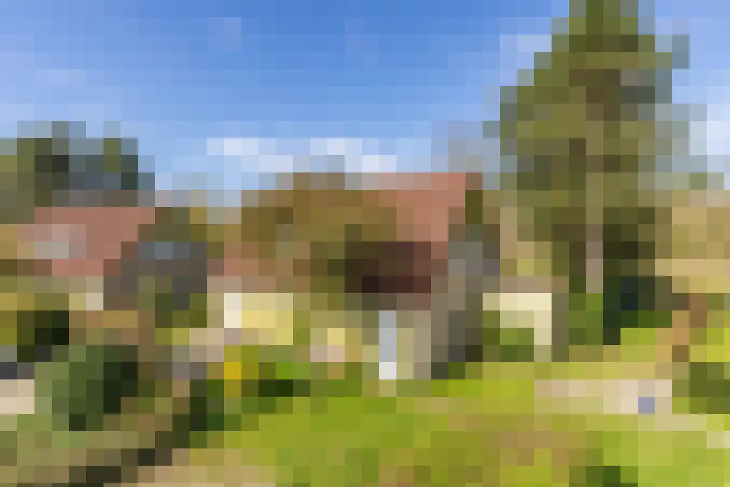 De Vennen 22 Vlagtwedde foto 3