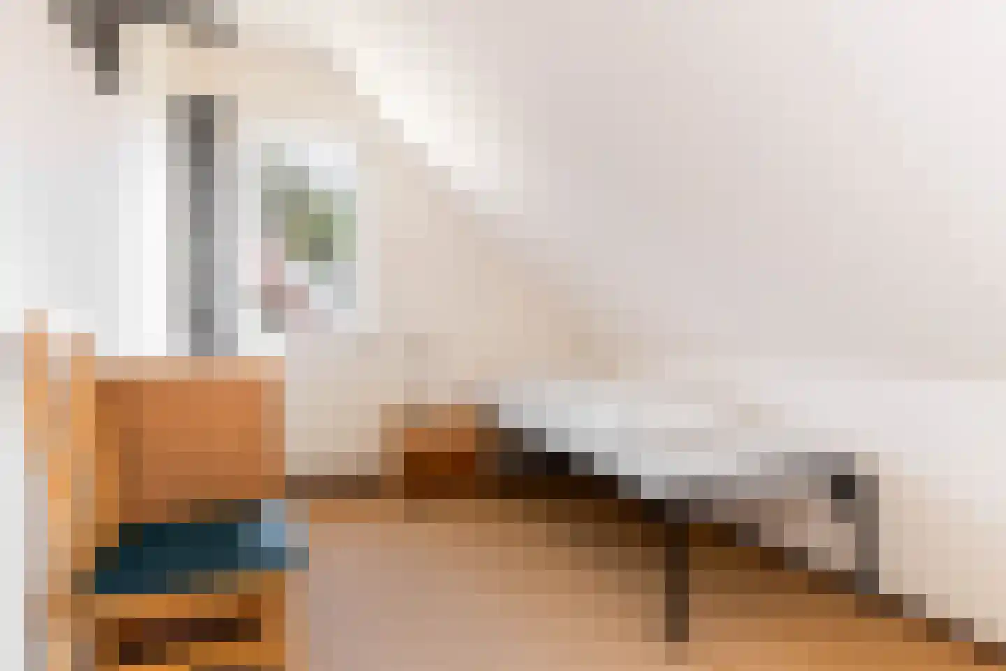 De Vennen 22 Vlagtwedde thumbnail 31