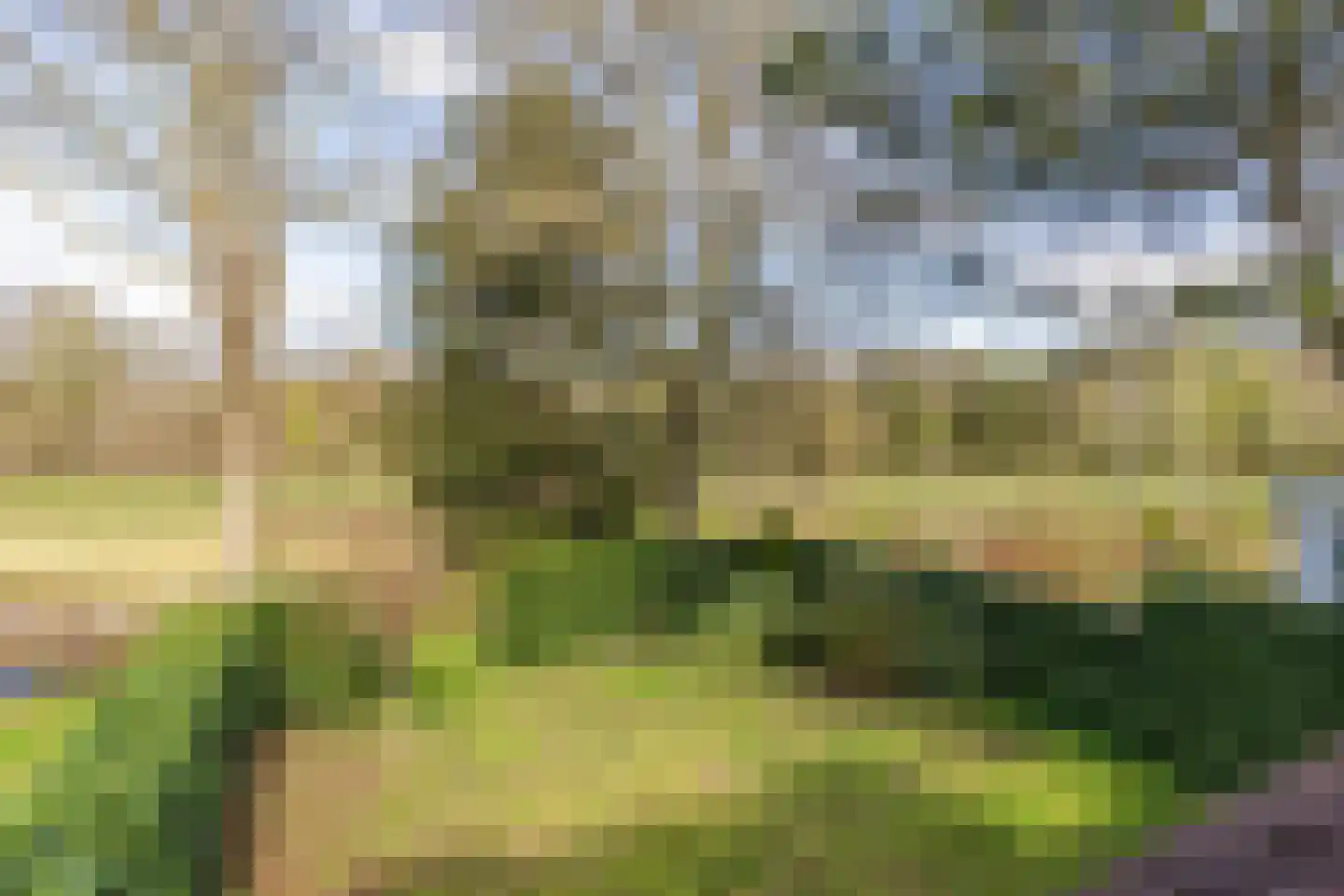 De Vennen 22 Vlagtwedde thumbnail 36
