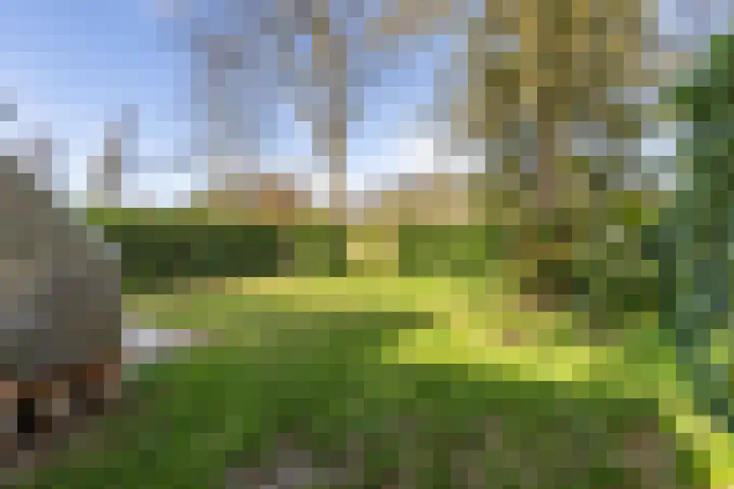 De Vennen 22 Vlagtwedde thumbnail 37