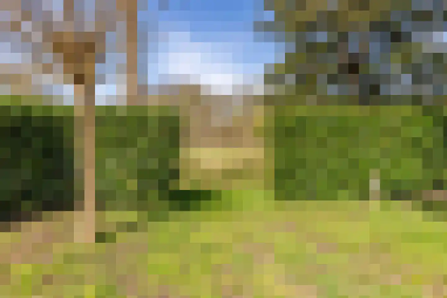 De Vennen 22 Vlagtwedde thumbnail 41