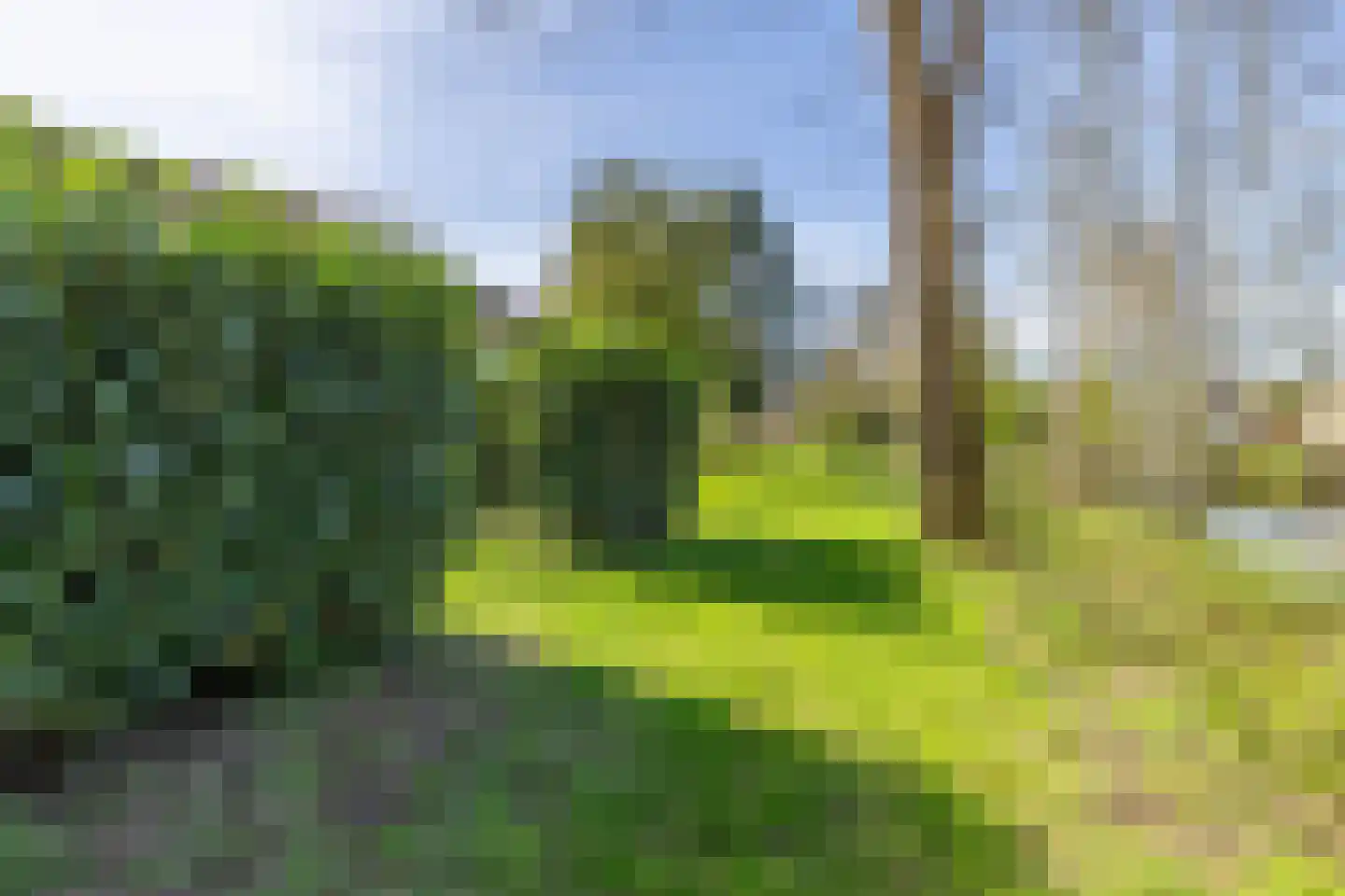 De Vennen 22 Vlagtwedde thumbnail 44