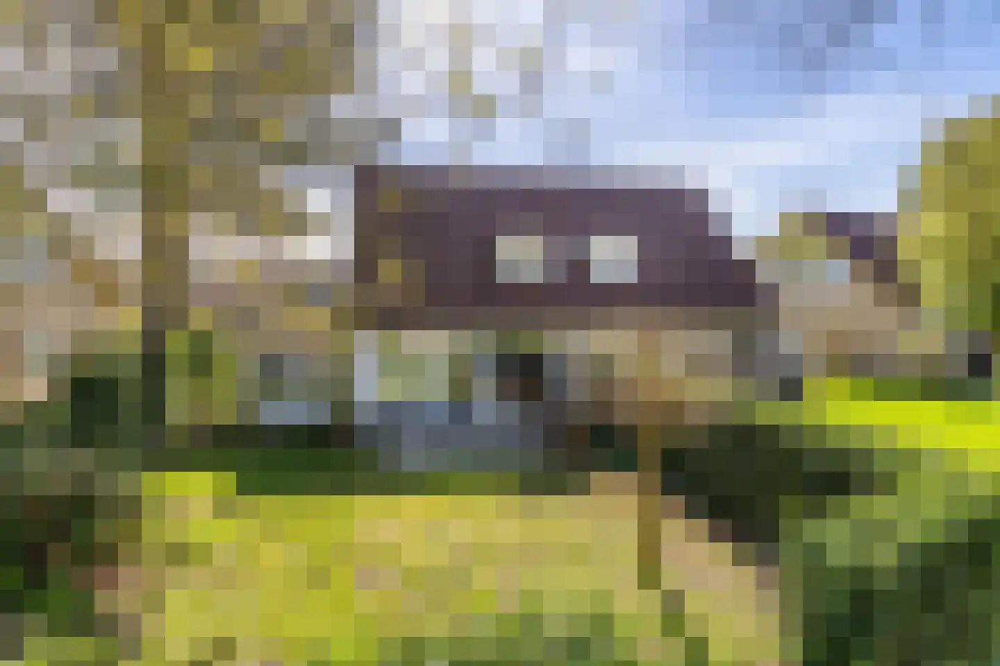 De Vennen 22 Vlagtwedde thumbnail 46
