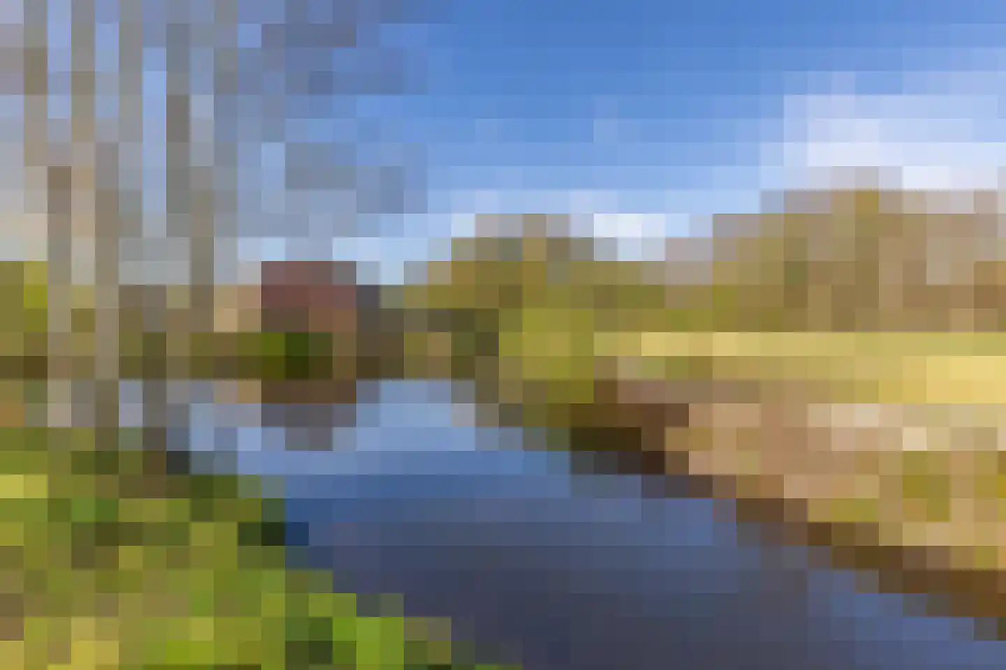 De Vennen 22 Vlagtwedde thumbnail 5