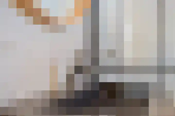 De Vennen 36 Vlagtwedde thumbnail 20