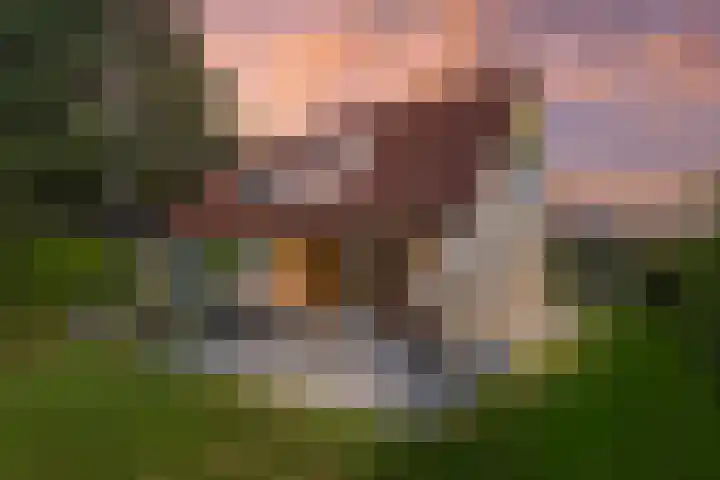 De Vennen 36 Vlagtwedde thumbnail 37
