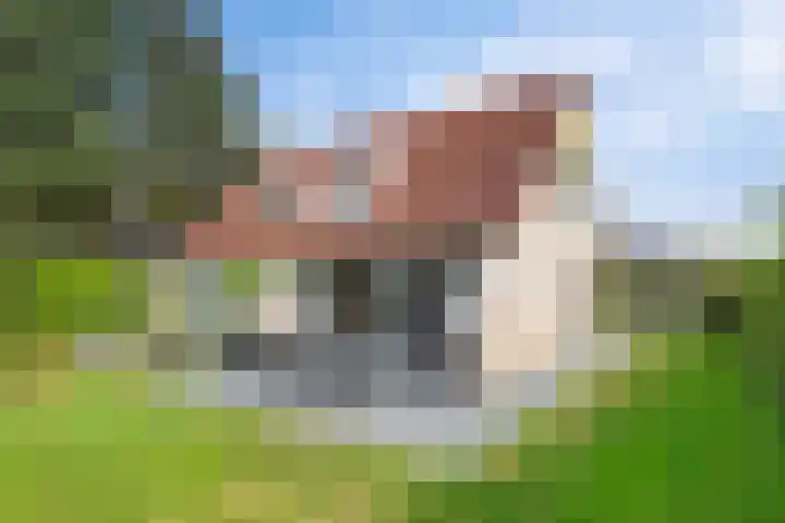 De Vennen 36 Vlagtwedde thumbnail 44
