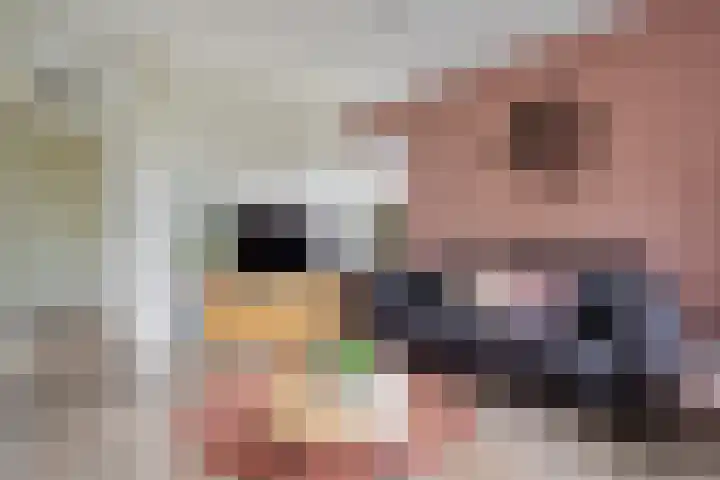 De Vennen 36 Vlagtwedde thumbnail 9