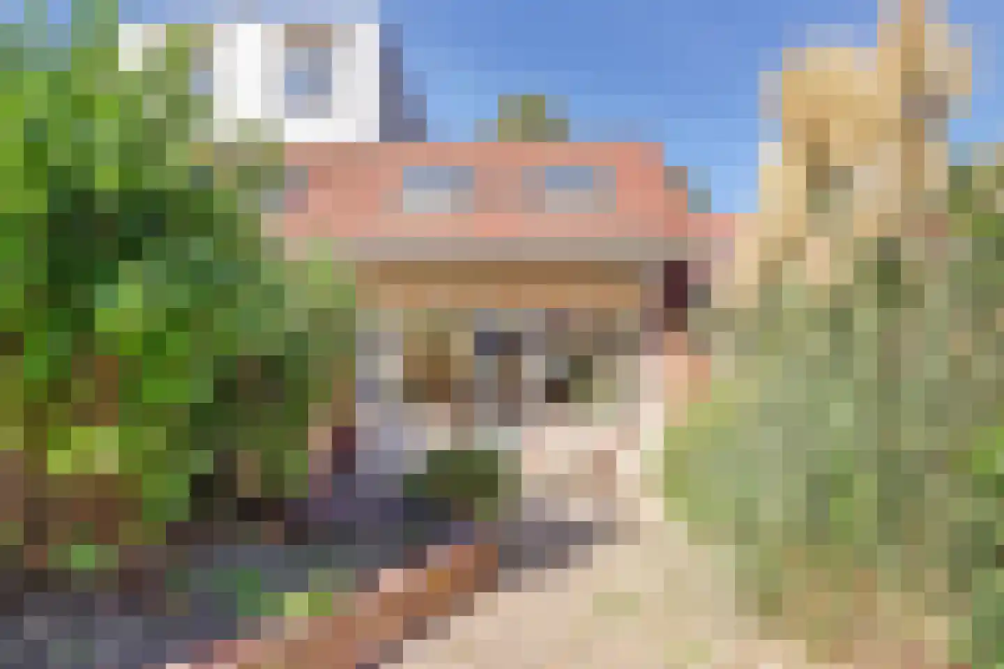 De Vennen 38 Weesp thumbnail 22