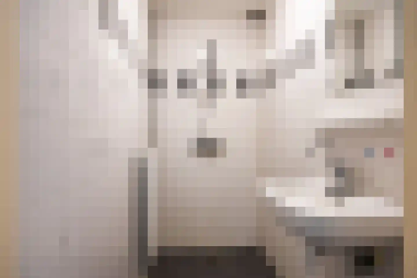 De Vennen 51 Eenrum thumbnail 20
