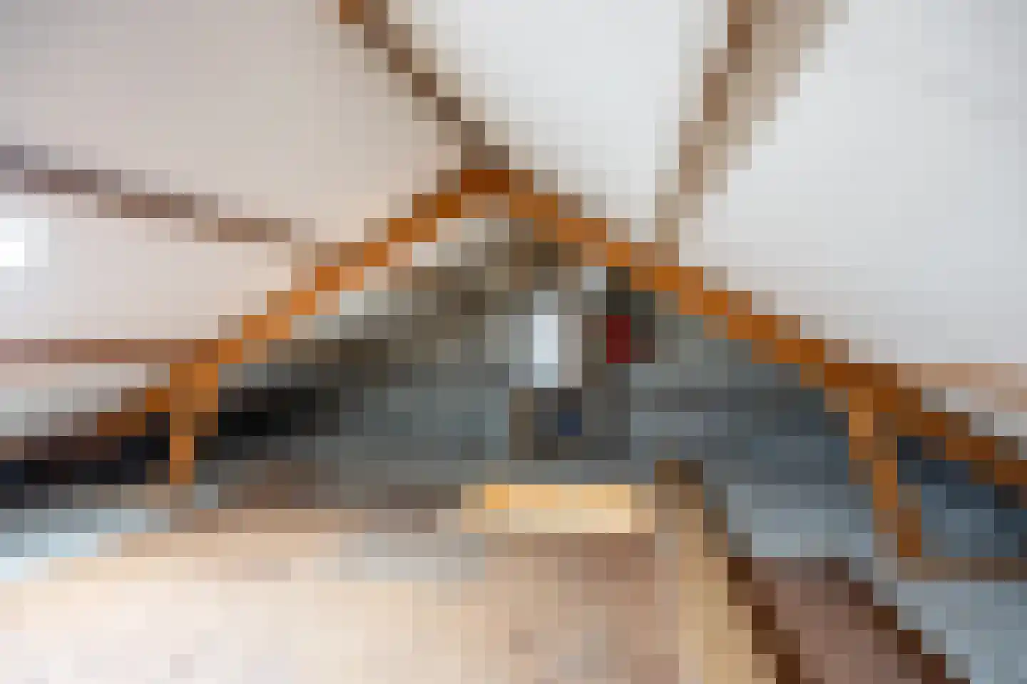 De Vennen 51 Eenrum thumbnail 21