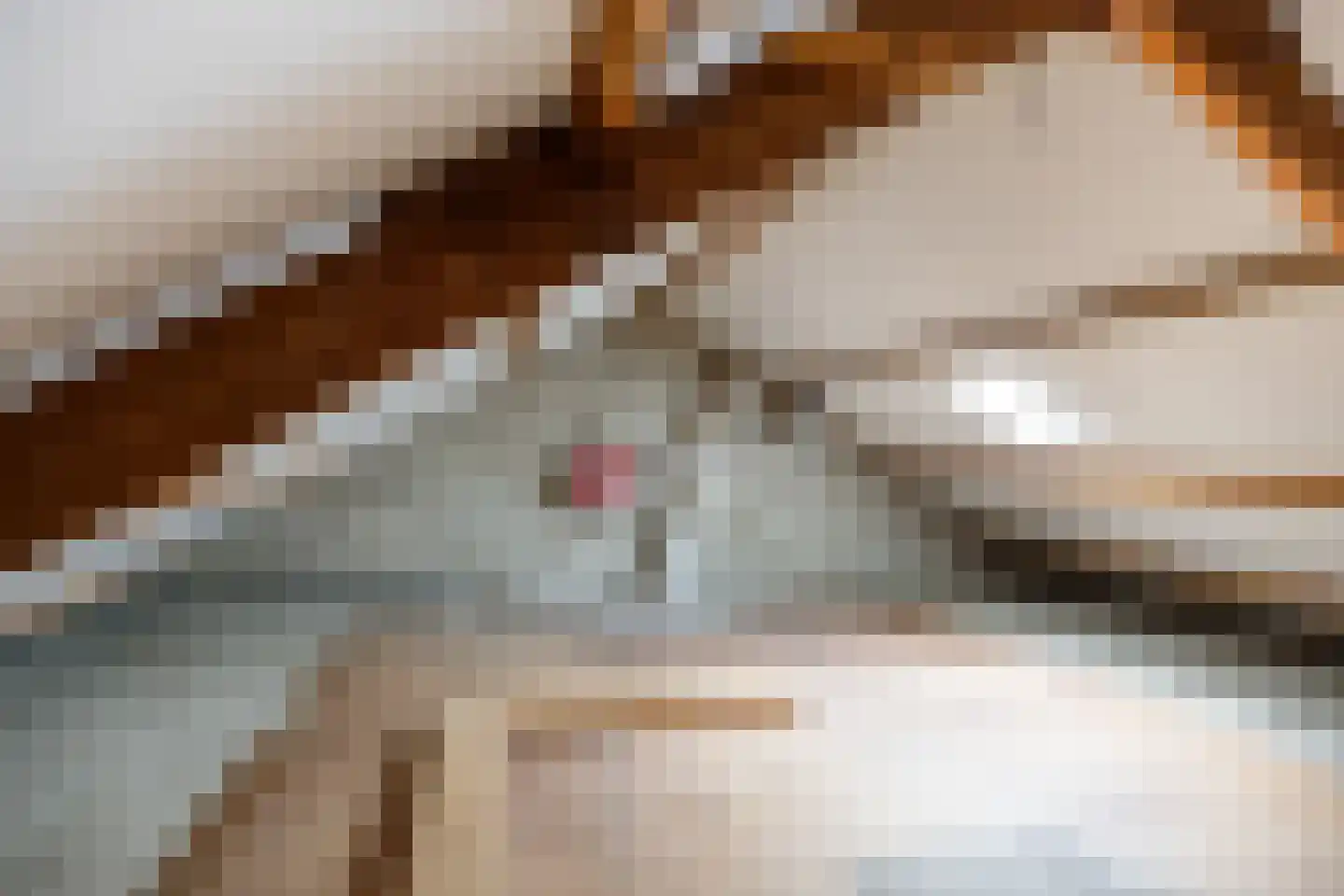 De Vennen 51 Eenrum thumbnail 22