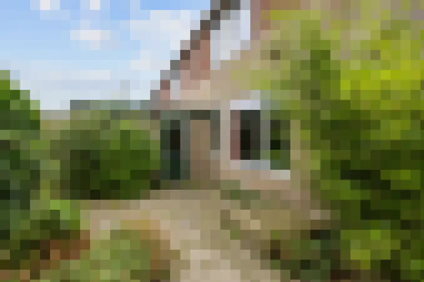 De Vennen 51 Eenrum thumbnail 23