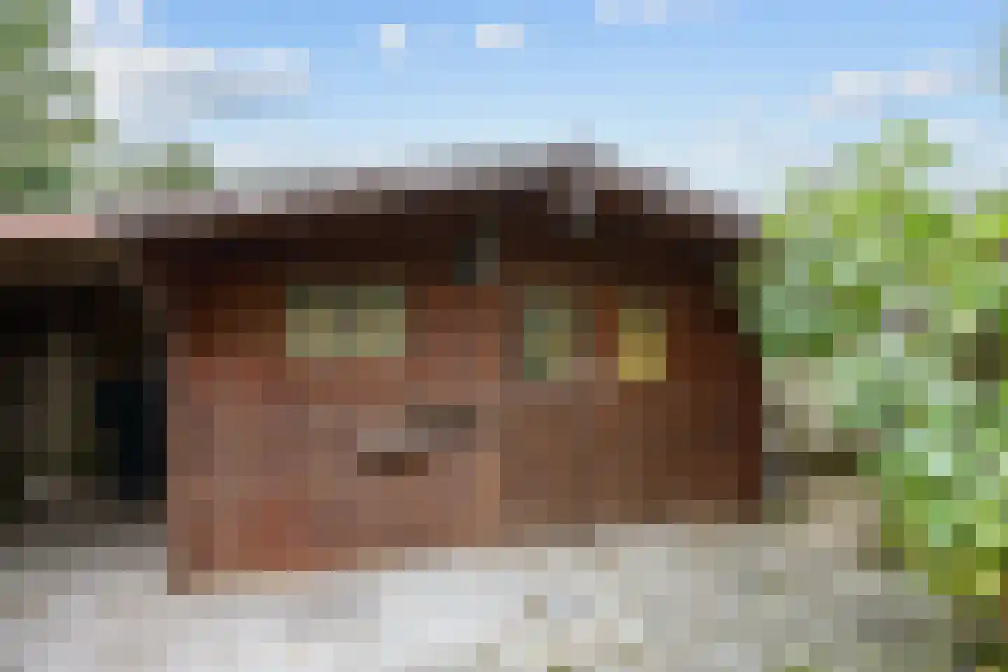 De Vennen 51 Eenrum thumbnail 24