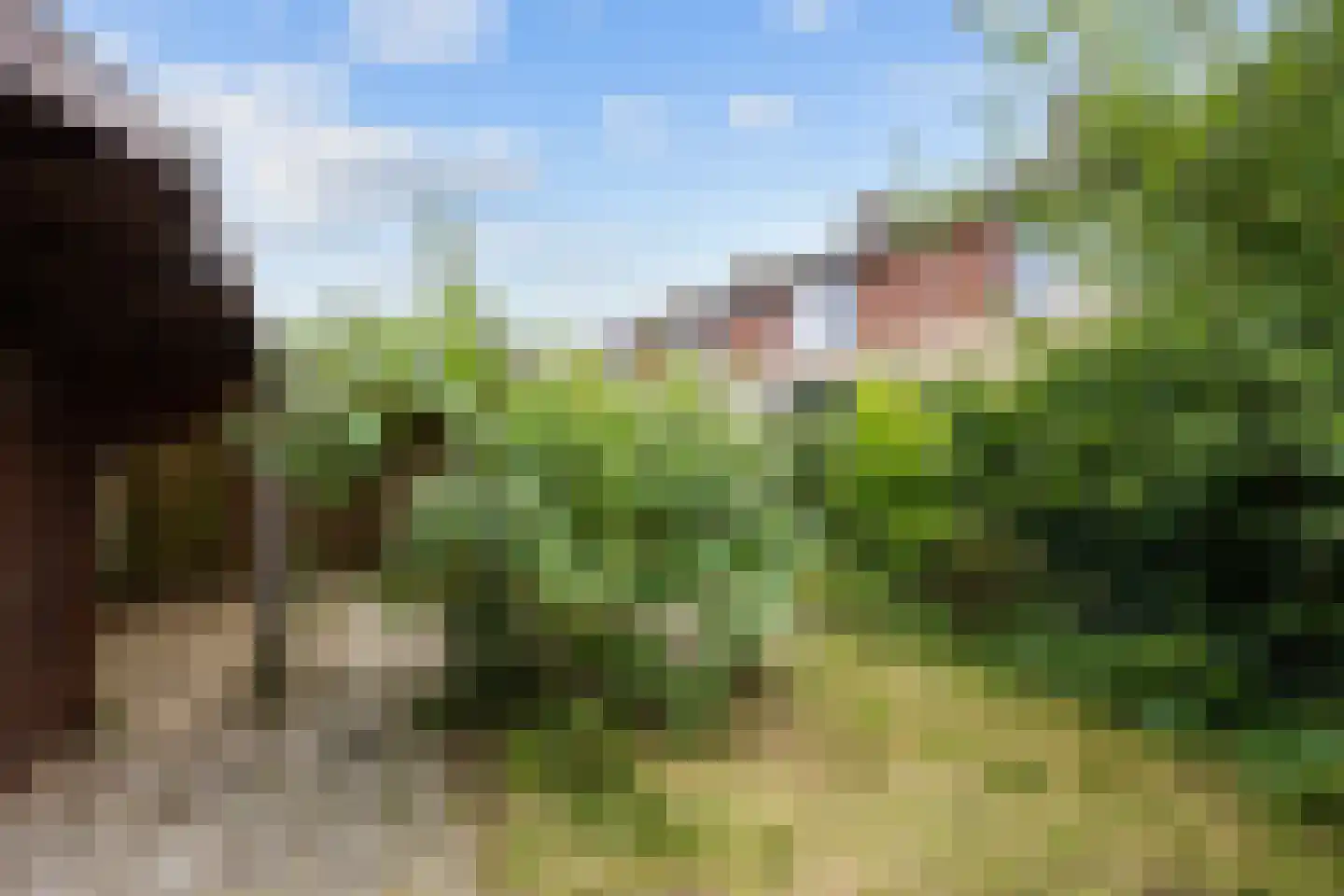 De Vennen 51 Eenrum thumbnail 25