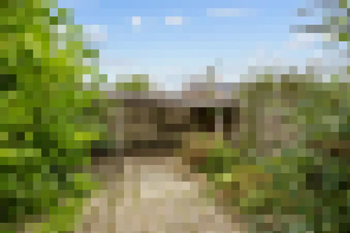 De Vennen 51 Eenrum thumbnail 26