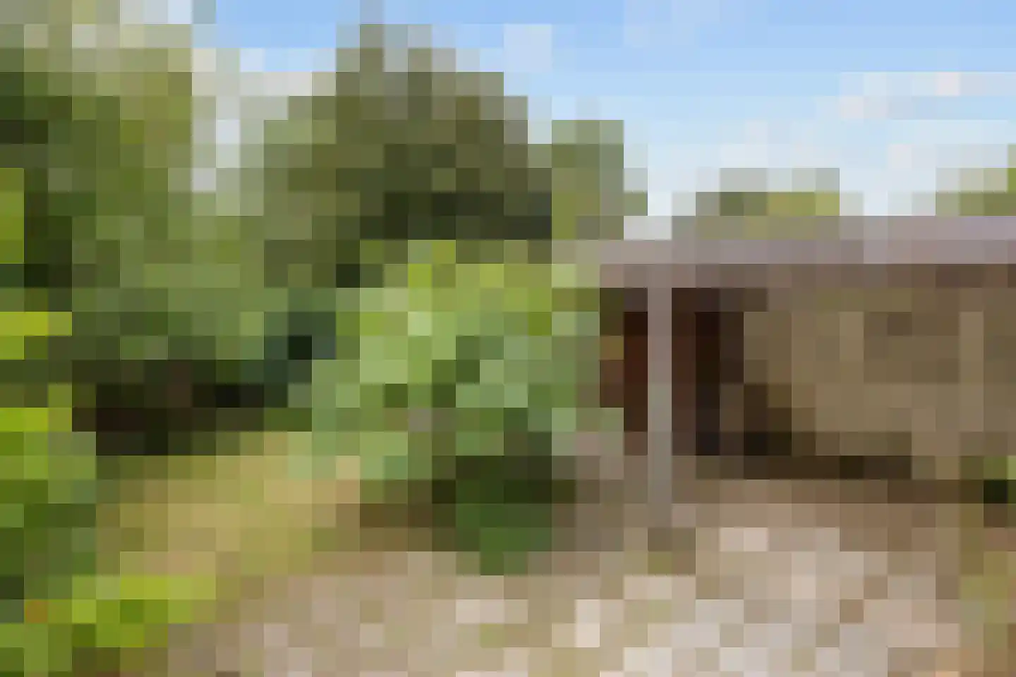 De Vennen 51 Eenrum thumbnail 27
