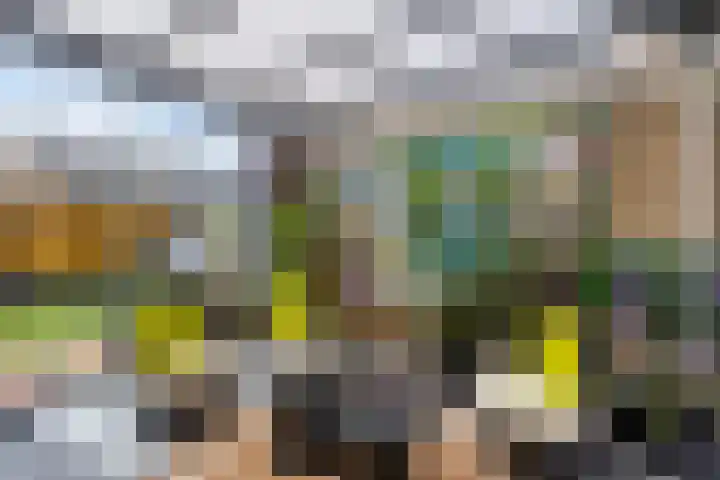 De Vennen 67 Eenrum thumbnail 19