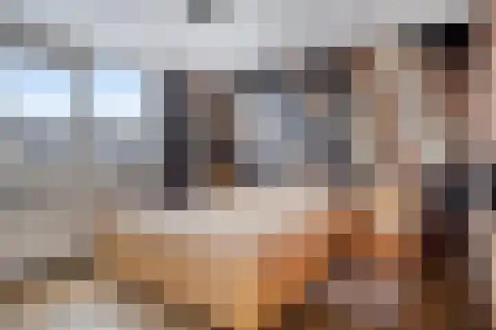 De Vennen 67 Eenrum thumbnail 21