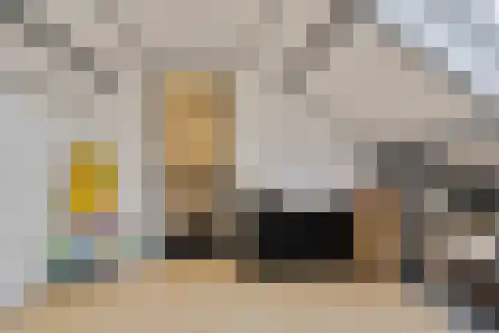 De Vennen 67 Eenrum thumbnail 31