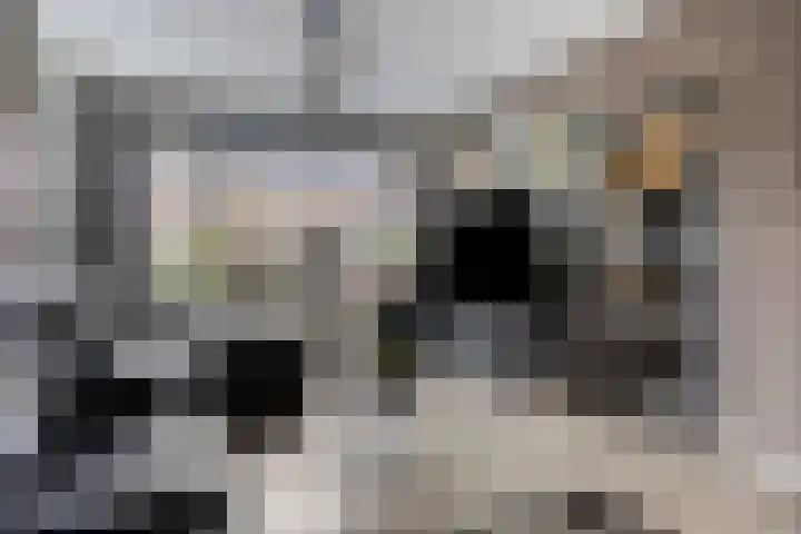 De Vennen 67 Eenrum thumbnail 8