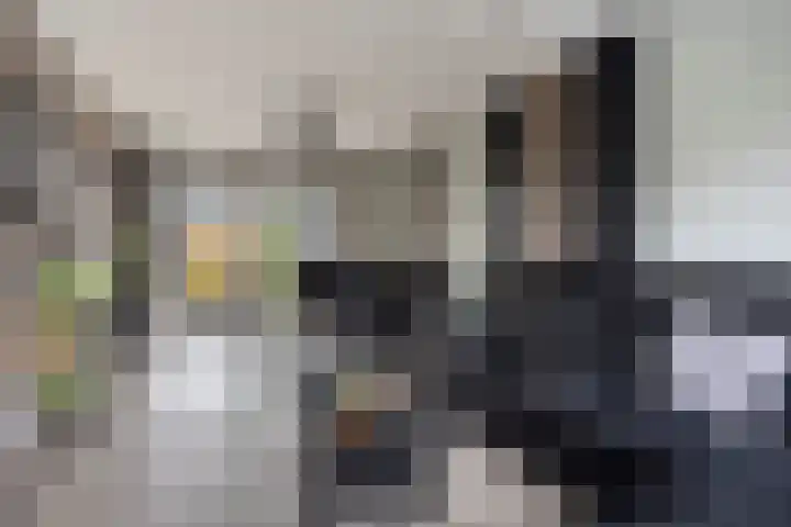 De Vennen 67 Eenrum thumbnail 9