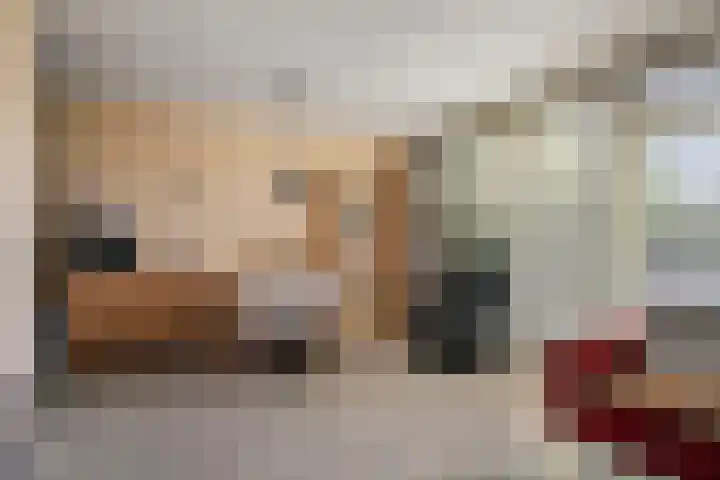 De Vennen 8 Vlagtwedde thumbnail 11