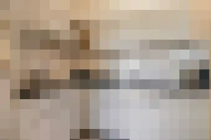 De Vennen 8 Vlagtwedde thumbnail 16