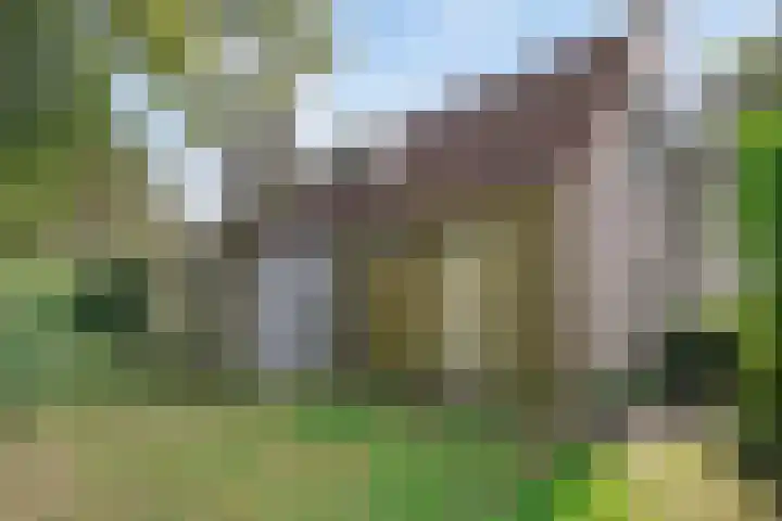 De Vennen 8 Vlagtwedde foto 2