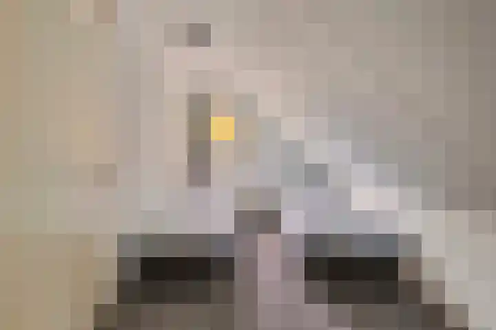 De Vennen 8 Vlagtwedde thumbnail 25